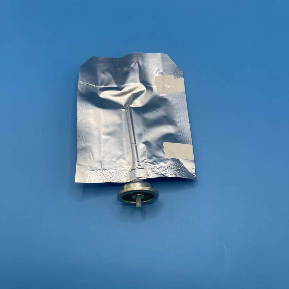 Bolsa de aerosol en la v&aacute;lvula (13)