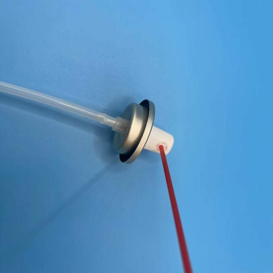 V&aacute;lvula de limpiador de carburador WD40 V&aacute;lvula lubricante (166)